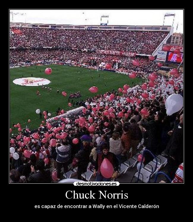 Chuck Norris -