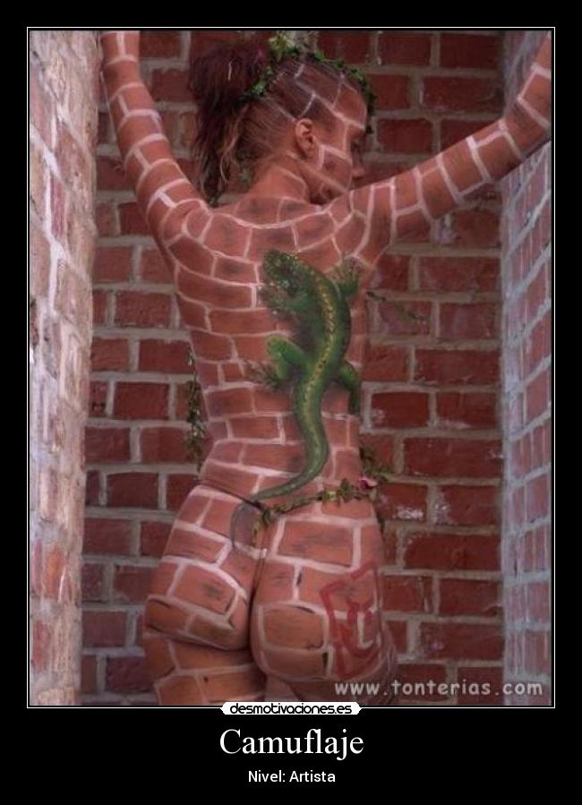 Camuflaje - Nivel: Artista