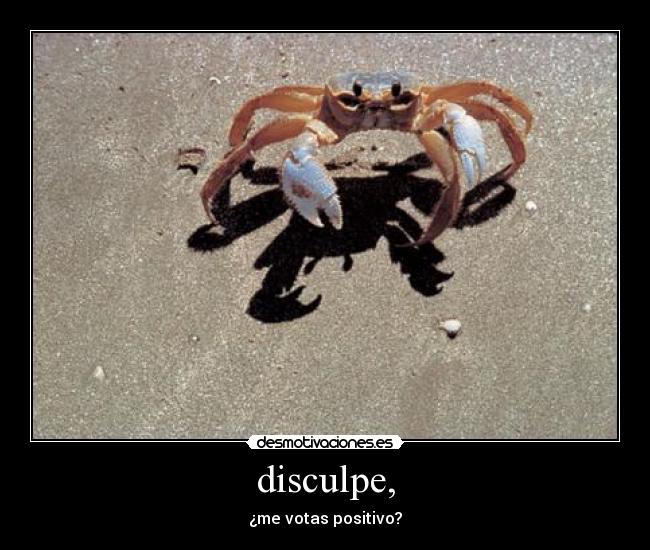 disculpe, -