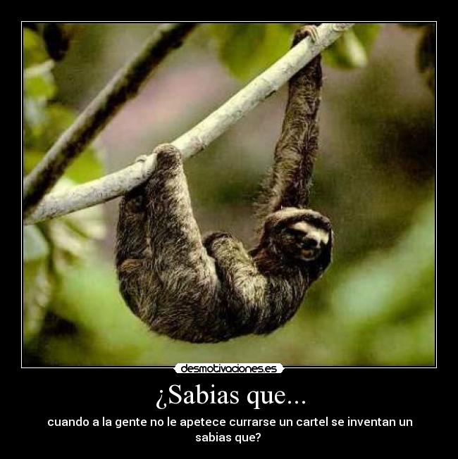 ¿Sabias que... - cuando a la gente no le apetece currarse un cartel se inventan un sabias que?