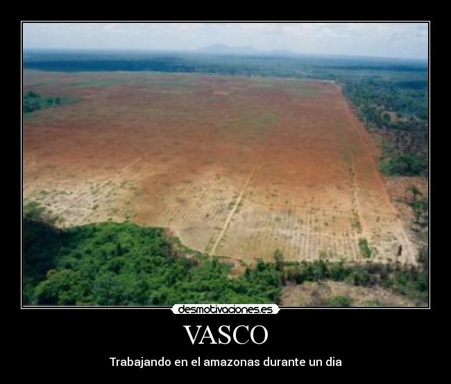 VASCO -