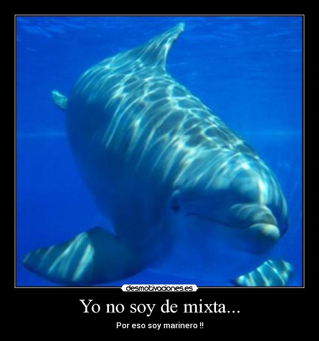 Yo no soy de mixta... - Por eso soy marinero !!