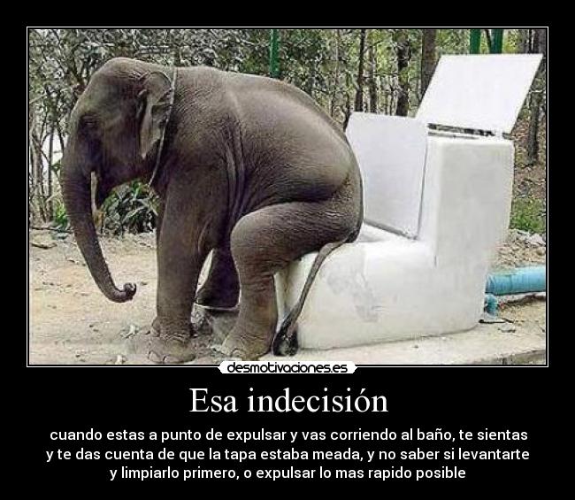 Esa indecisión - cuando estas a punto de expulsar y vas corriendo al baño, te sientas
y te das cuenta de que la tapa estaba meada, y no saber si levantarte
y limpiarlo primero, o expulsar lo mas rapido posible