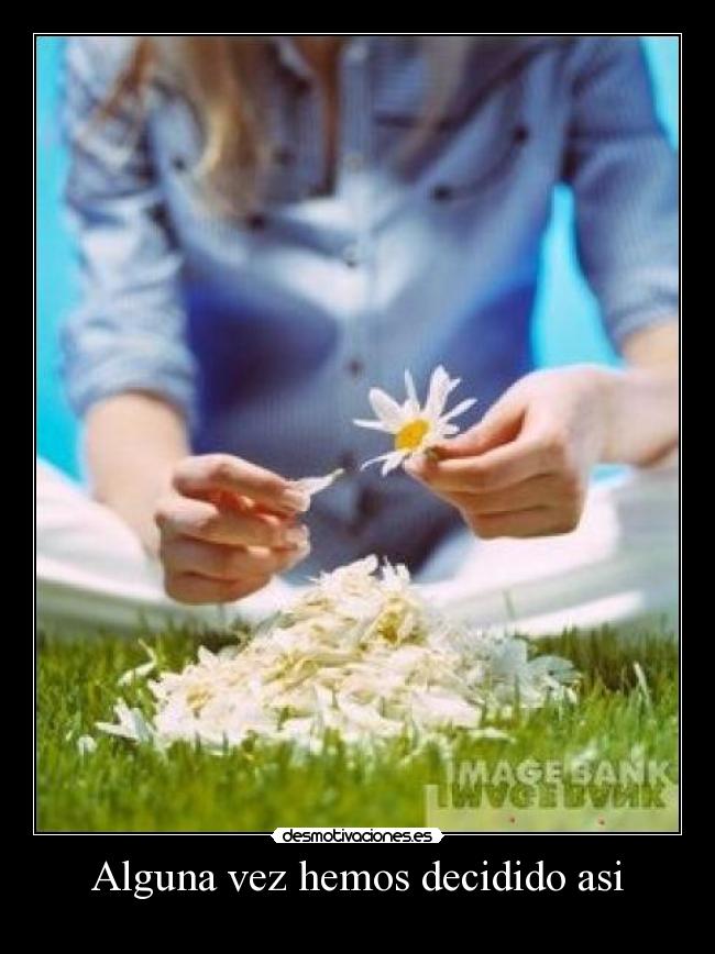 Alguna vez hemos decidido asi -