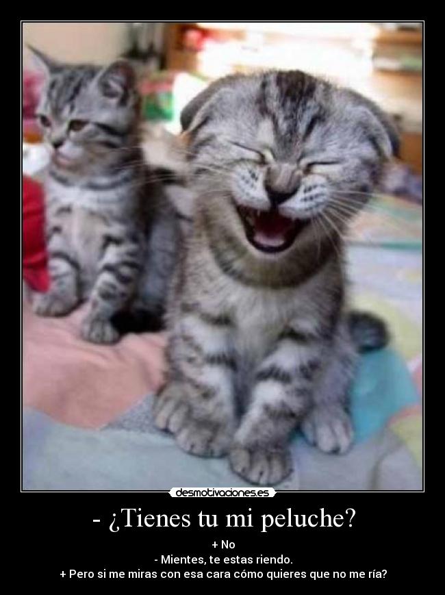 - ¿Tienes tu mi peluche? -