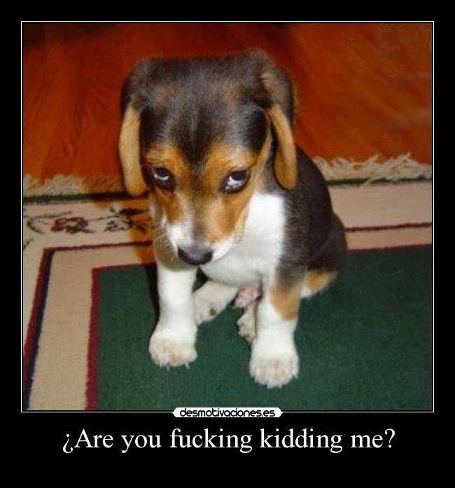 ¿Are you fucking kidding me? - 