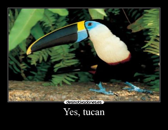 Yes, tucan -  