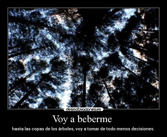 Voy a beberme - hasta las copas de los árboles, voy a tomar de todo menos decisiones.