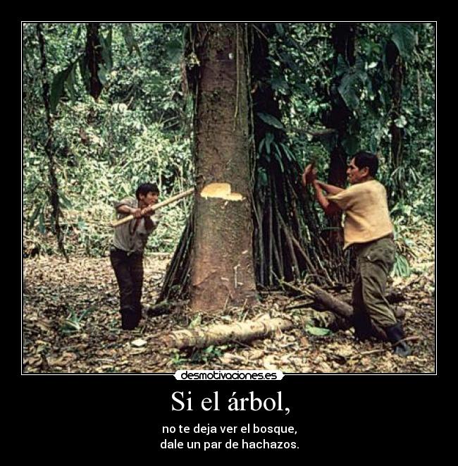 Si el árbol, -