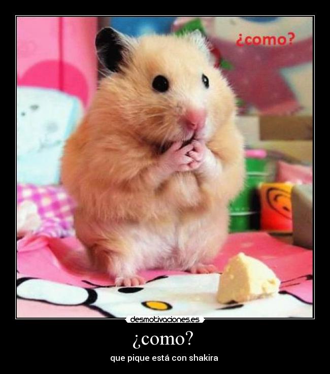 ¿como?  - 