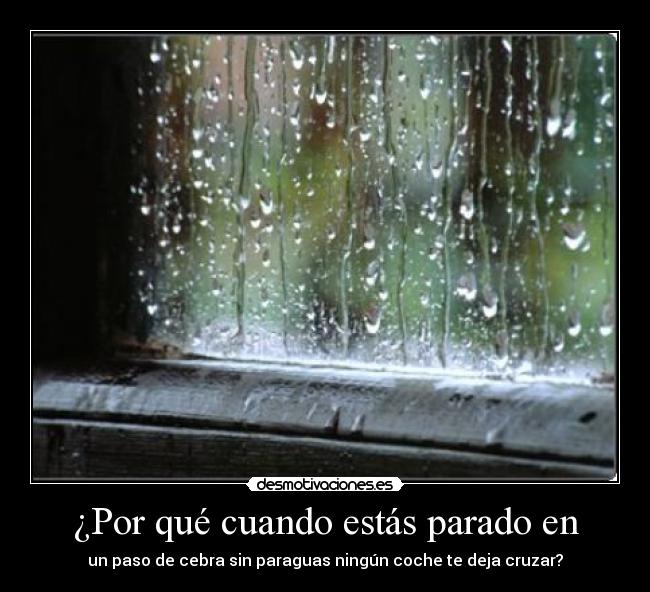 carteles cuando parado paso cebra coche pasar desmotivaciones