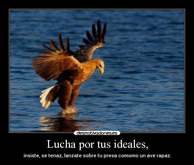 Lucha por tus ideales, -