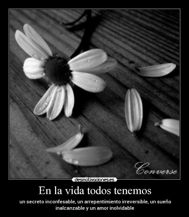 En la vida todos tenemos - 