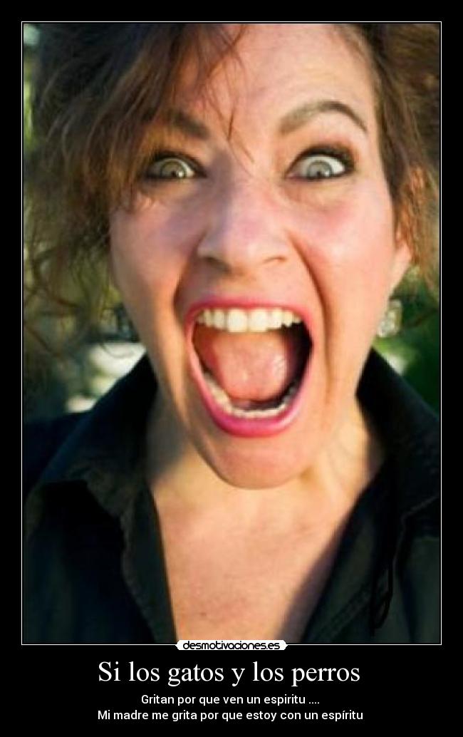 Si los gatos y los perros -