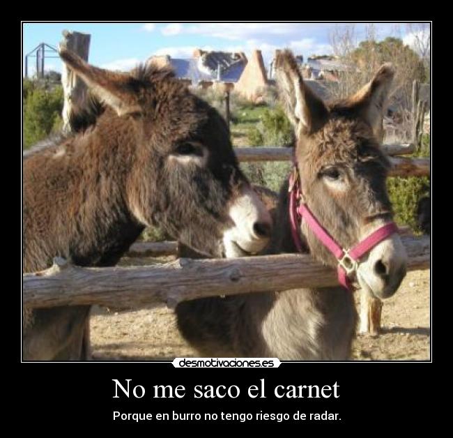 No me saco el carnet -