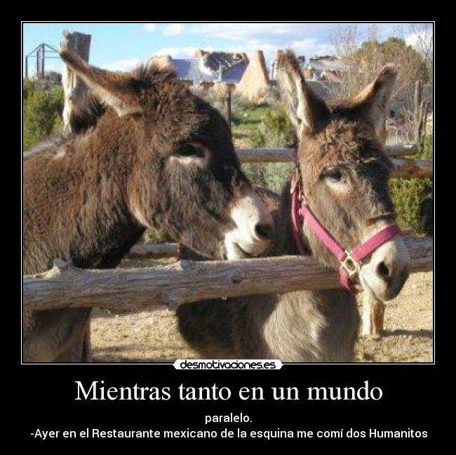 Mientras tanto en un mundo - paralelo.
-Ayer en el Restaurante mexicano de la esquina me comí dos Humanitos