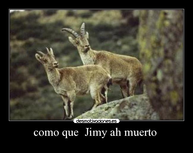 como que Jimy ah muerto -