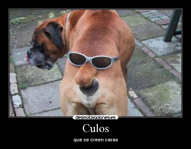 Culos - que se creen caras