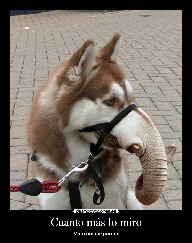 carteles cuanto mas miro desmotivaciones