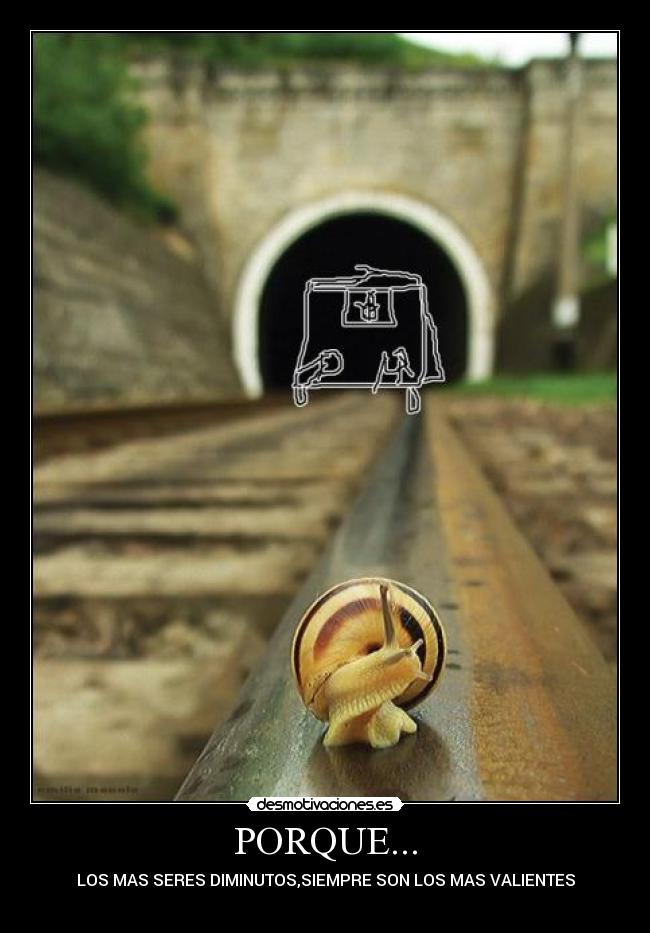 PORQUE... - LOS MAS SERES DIMINUTOS,SIEMPRE SON LOS MAS VALIENTES