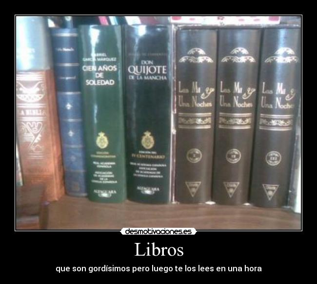 Libros - que son gordísimos pero luego te los lees en una hora