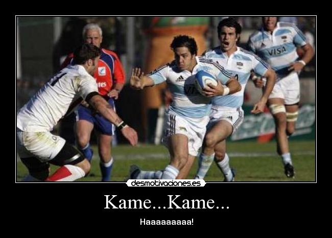 Kame...Kame... -