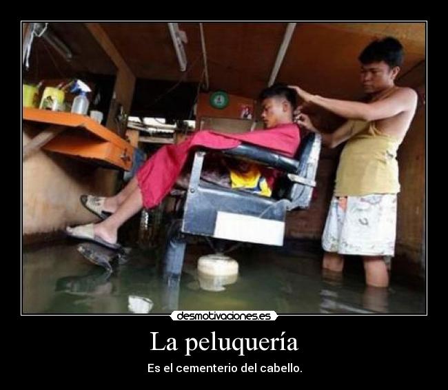 La peluquería - Es el cementerio del cabello.