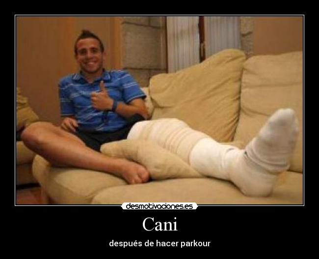 Cani -