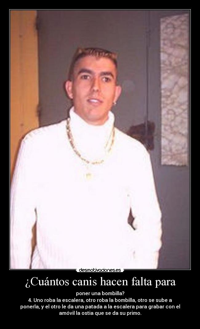 ¿Cuántos canis hacen falta para - poner una bombilla?
4. Uno roba la escalera, otro roba la bombilla, otro se sube a
ponerla, y el otro le da una patada a la escalera para grabar con el
amóvil la ostia que se da su primo.