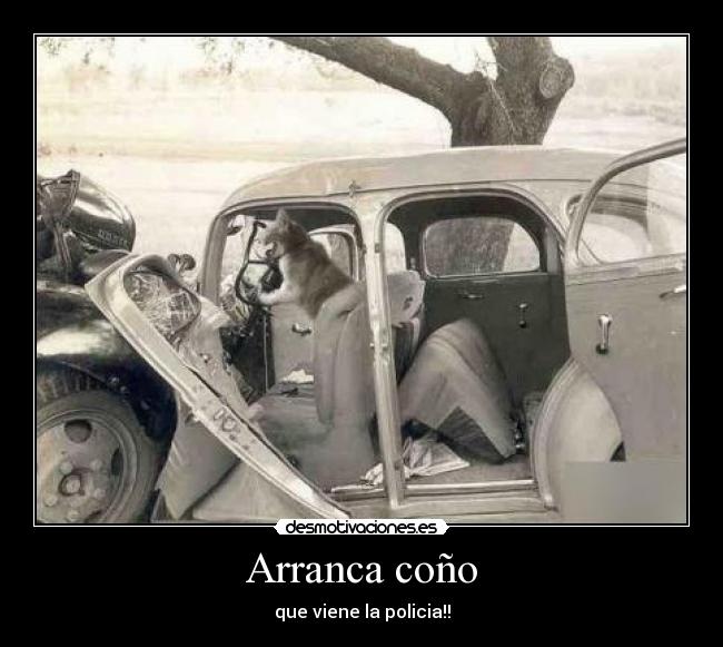 Arranca coño - que viene la policia!!