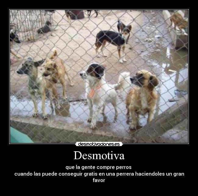 Desmotiva -