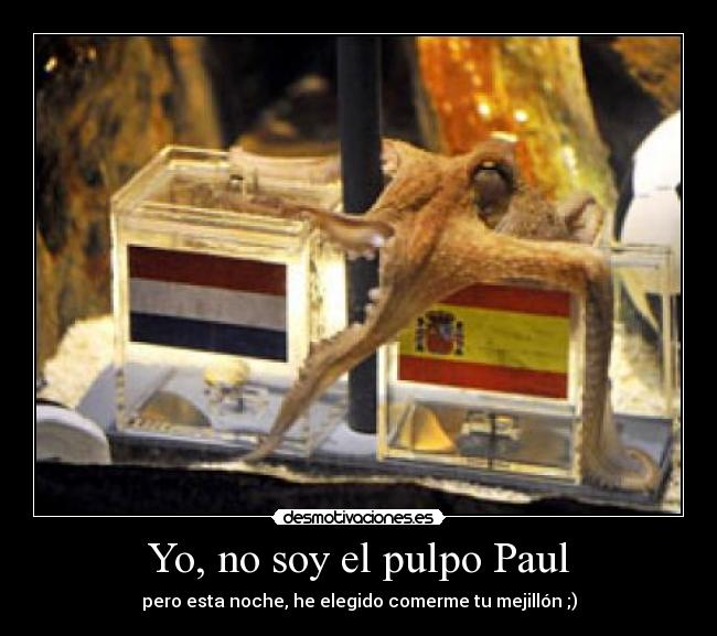 carteles fvf desmotivaciones