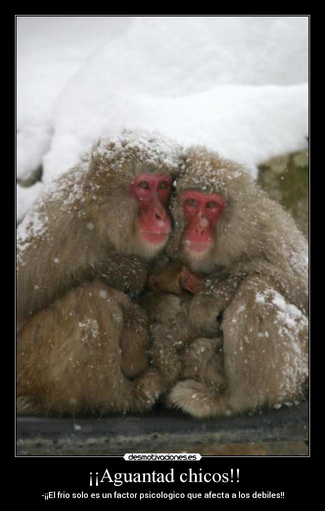¡¡Aguantad chicos!! - -¡¡El frio solo es un factor psicologico que afecta a los debiles!!