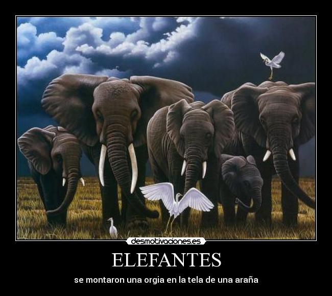 ELEFANTES - 