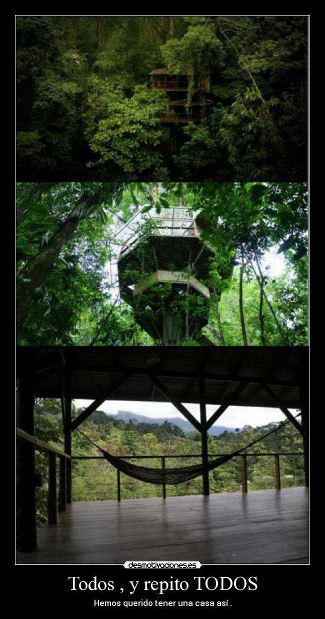 Todos , y repito TODOS -