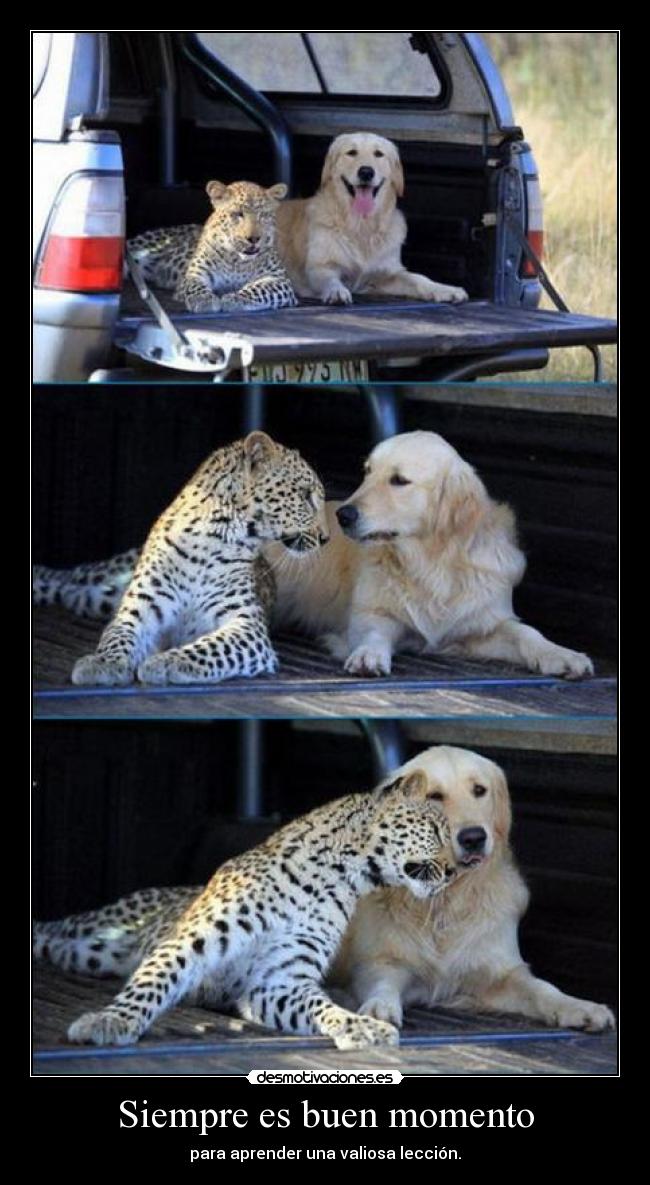 Siempre es buen momento - para aprender una valiosa lección.