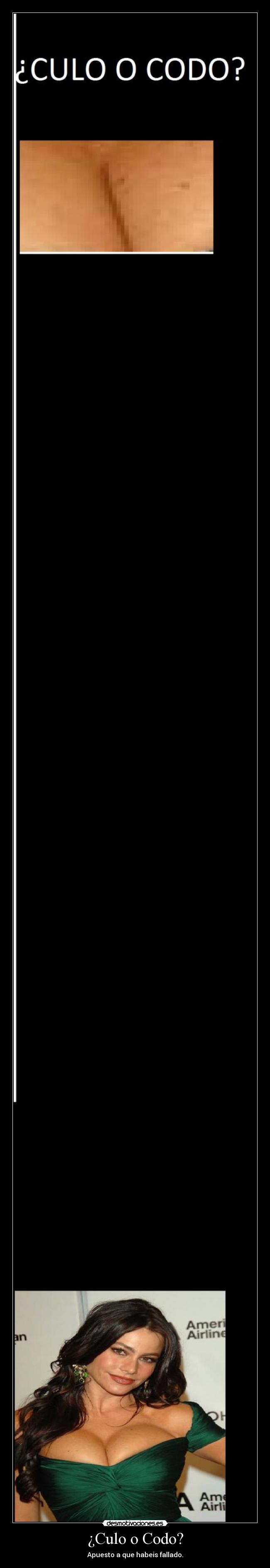 ¿Culo o Codo? - Apuesto a que habeis fallado.