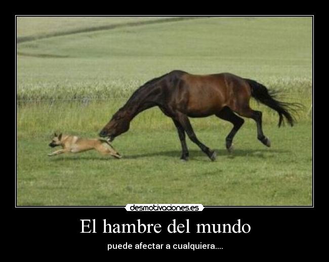 El hambre del mundo - puede afectar a cualquiera....