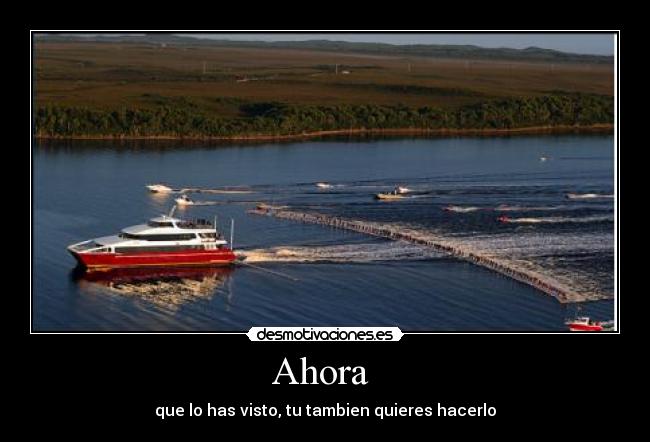 carteles ahora desmotivaciones