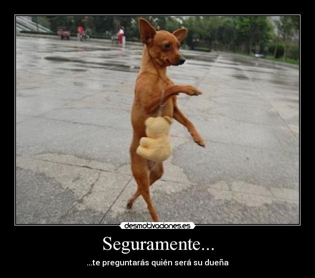 Seguramente... - 
