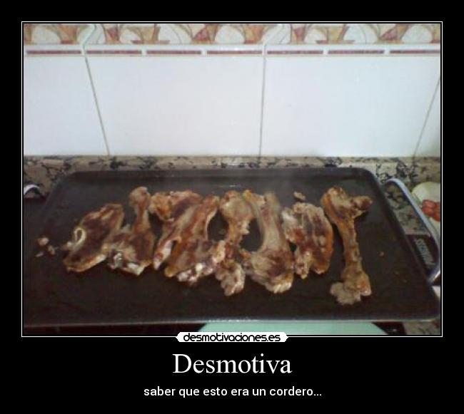 carteles ponchakoerestontomelocomotodogiligiliinutil desmotivaciones