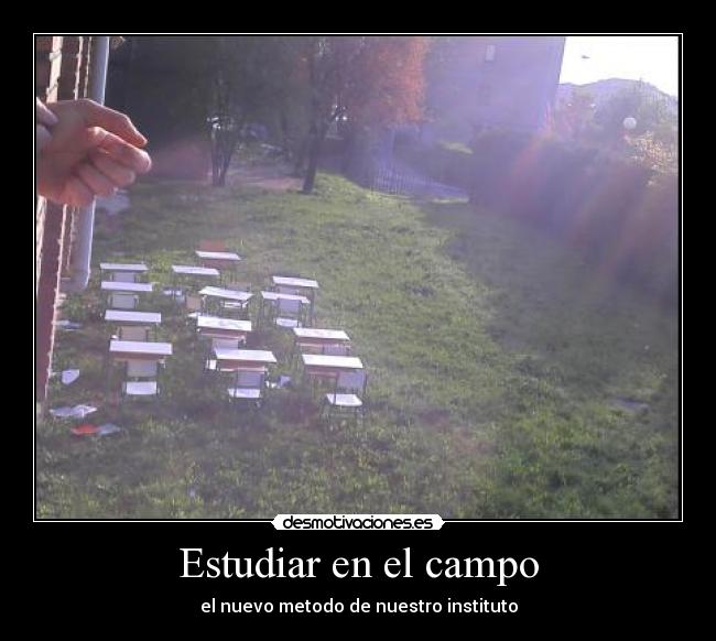 Estudiar en el campo -