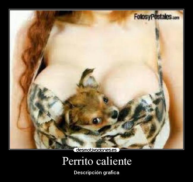 Perrito caliente -