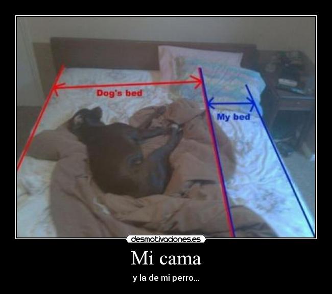 Mi cama -