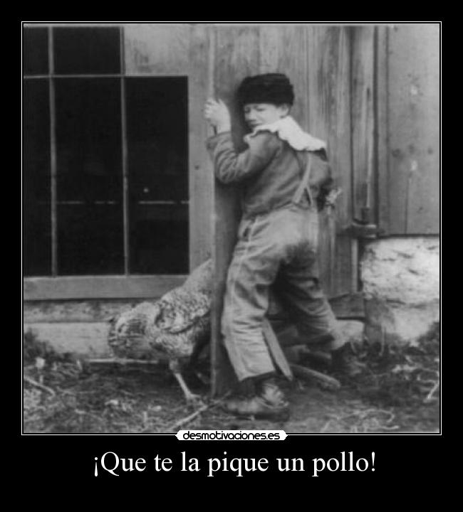 ¡Que te la pique un pollo! - 