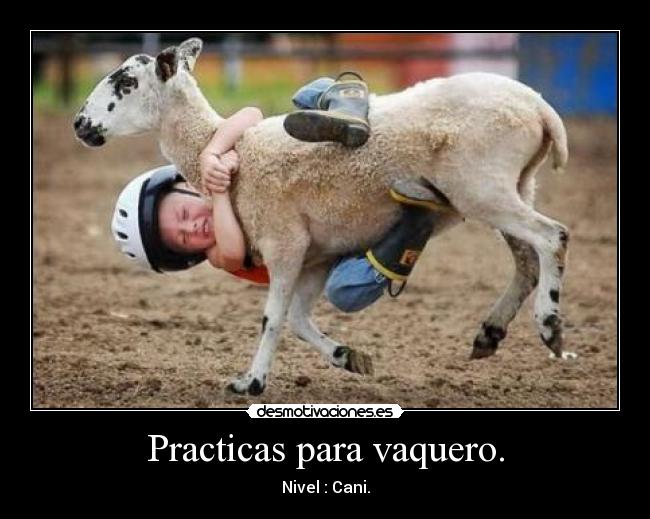 Practicas para vaquero. - Nivel : Cani.