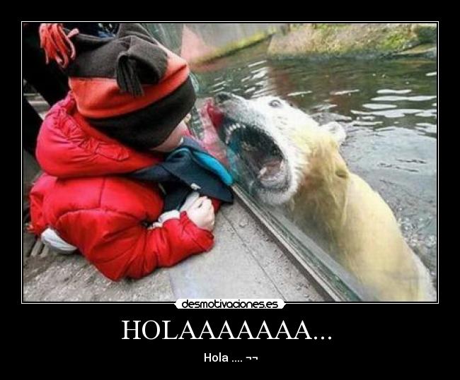 HOLAAAAAAA...  - 