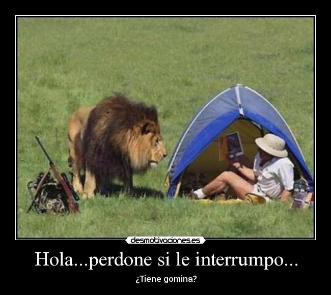 Hola...perdone si le interrumpo... - ¿Tiene gomina?