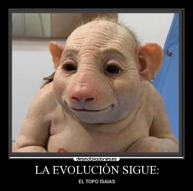 LA EVOLUCIÓN SIGUE: - 