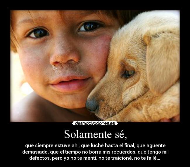 Solamente sé, - que siempre estuve ahí, que luché hasta el final, que aguenté
demasiado, que el tiempo no borra mis recuerdos, que tengo mil
defectos, pero yo no te mentí, no te traicioné, no te fallé... 